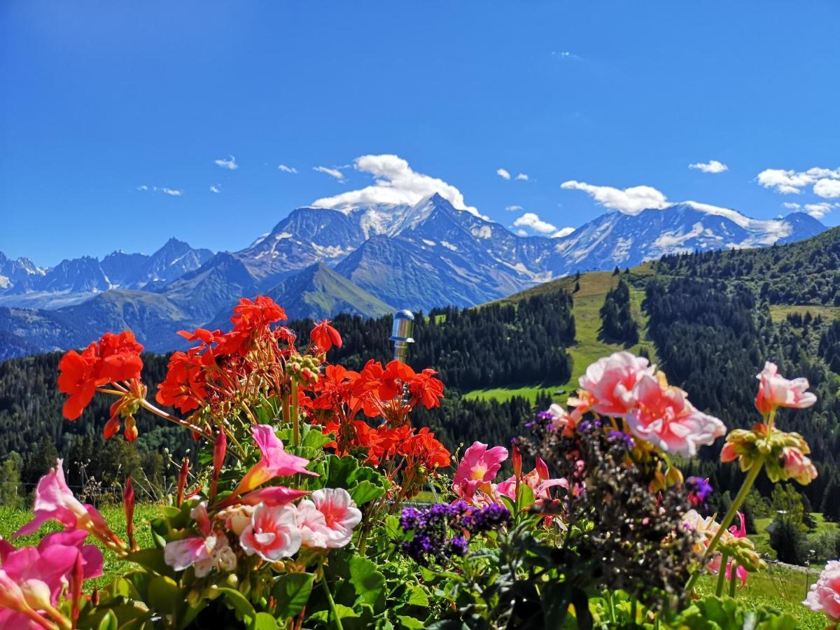 Duo Des Alpages Vue Exceptionnelle Sur Le Mont Blc Saint-Gervais-les-Bains Exterior foto