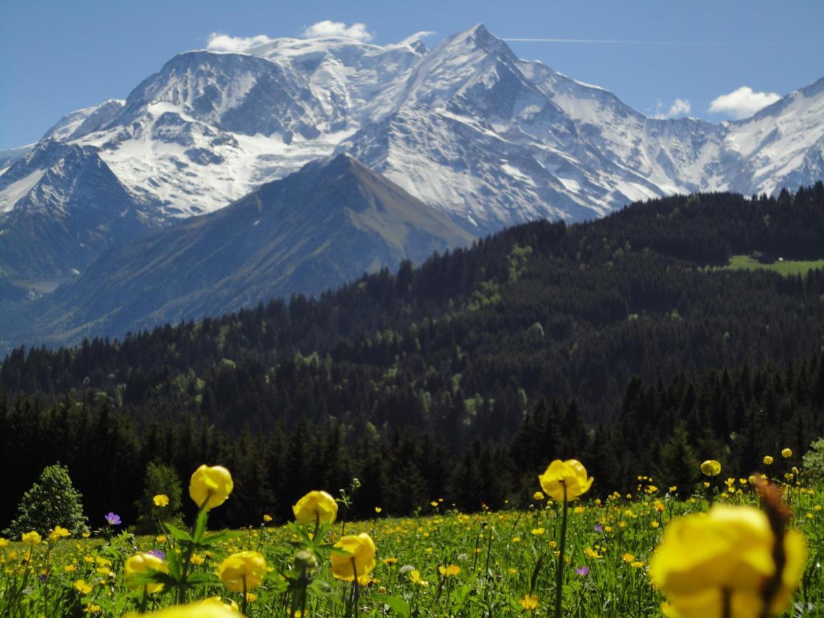 Duo Des Alpages Vue Exceptionnelle Sur Le Mont Blc Saint-Gervais-les-Bains Exterior foto